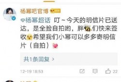 娱乐吃瓜评论怎么写的,揭秘明星幕后故事