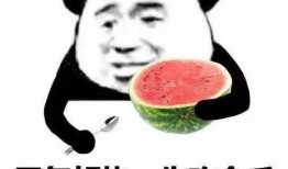 娱乐吃瓜酱你相信爱情吗,爱情信仰的探讨与反思