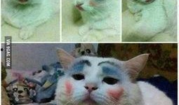 喵星娱乐吃瓜群众是谁