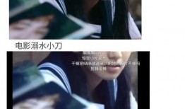 娱乐圈爽文吃瓜完结小说